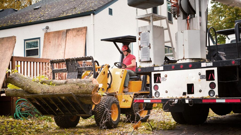 Best Tree Cutting Company in Melbourne