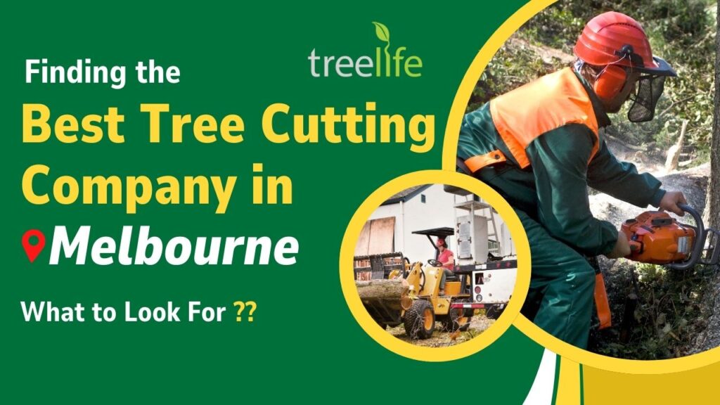 Best Tree Cutting Company in Melbourne