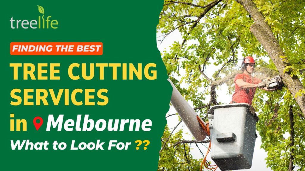 Best Tree Cutting Services in Melbourne