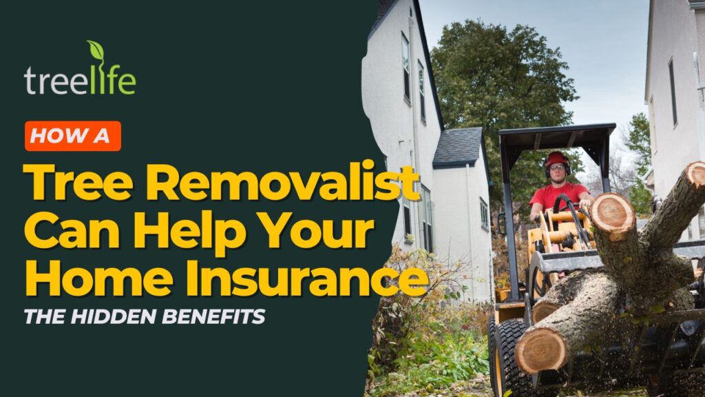 How a Tree Removalist Can Help Your Home Insurance