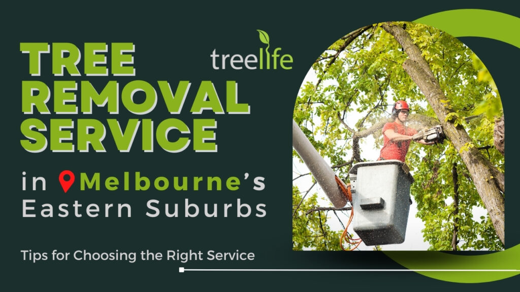 Tree Removal Service in Melbourne Eastern Suburbs