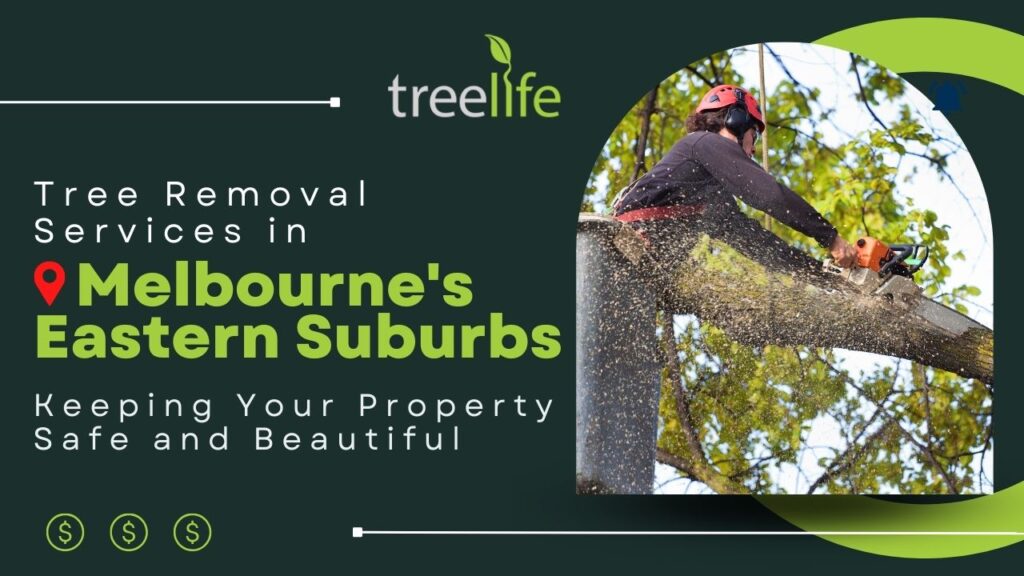 Tree Services in Melbourne's Eastern Suburbs Keeping Your Property Safe and Beautiful