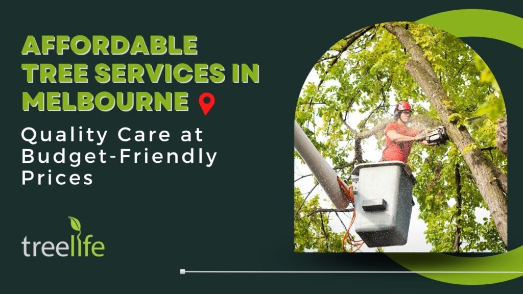 Affordable Tree Services in Melbourne Quality Care at Budget-Friendly Prices