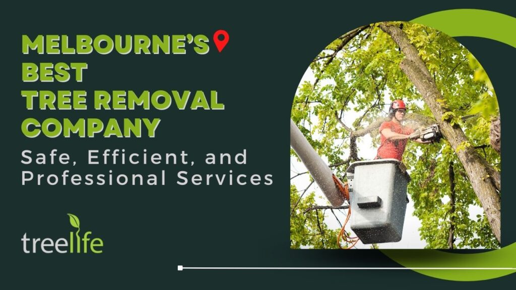 Melbourne’s Best Tree Removal Company: Safe, Efficient, and Professional Services