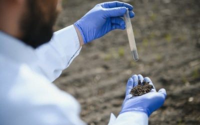 A-Great-Understanding-of-Soil-Management.jpg A-Great-Understanding-of-Soil-Management.jpg