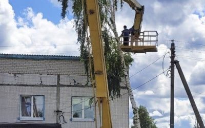 Tree-Care.jpg Tree-Care.jpg