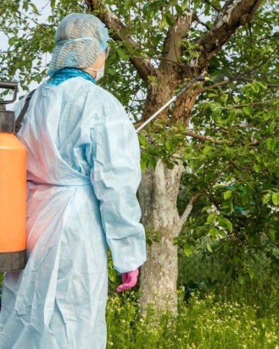 Tree-Disease-and-Pest-Control.jpg Tree-Disease-and-Pest-Control.jpg